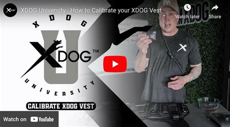 XDOG Official Website .